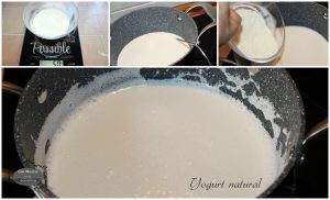 yogur natural 1